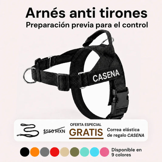 Arnés antitirones Casena