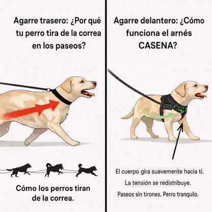 Arnés antitirones Casena