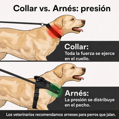 Arnés antitirones Casena