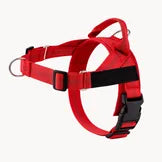 Arnés antitirones Casena